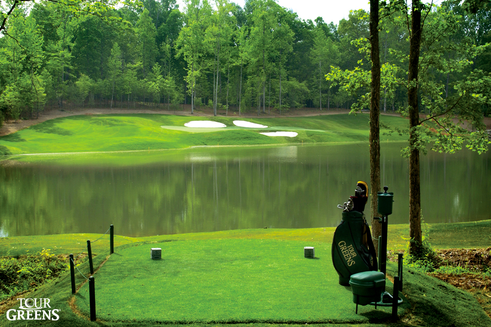 Large backyard with a putting green modeled after Augusta National's famed #12 hole