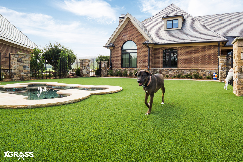 XGrass pet-friendly artificial grass installed in the backyard