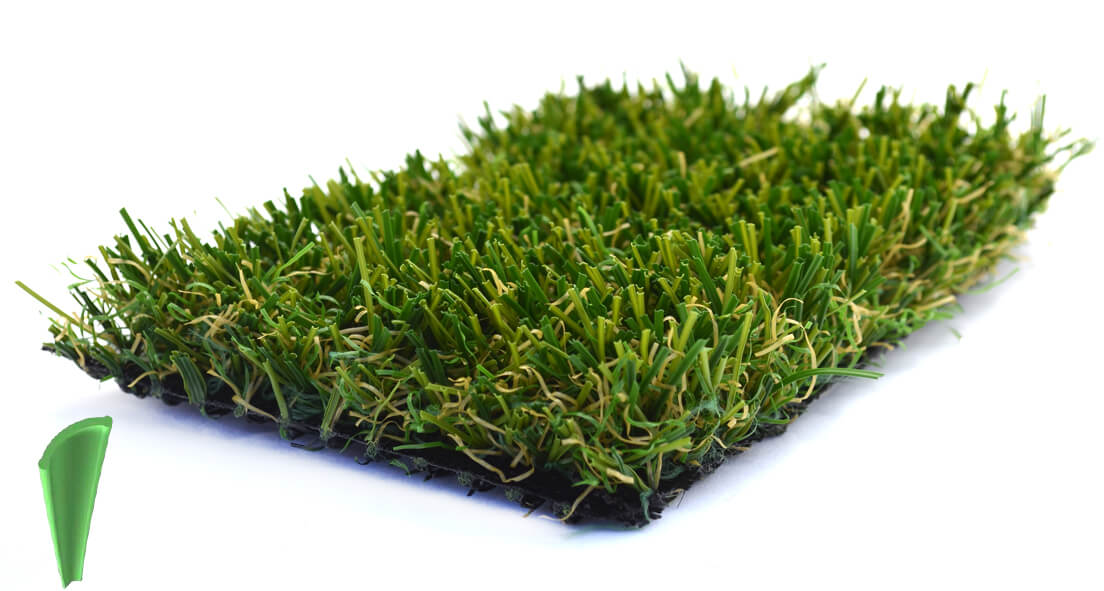 Bermuda Lite