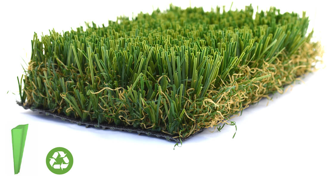 Fescue Xtreme