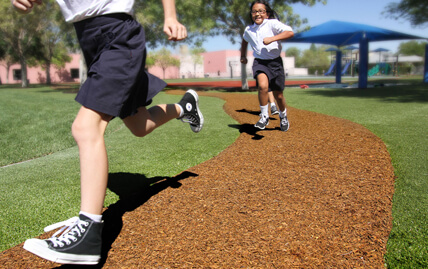 Bonded Rubber Mulch