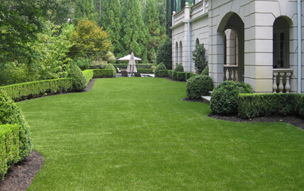 Turf