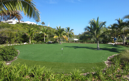 Tour quality backyard golf course