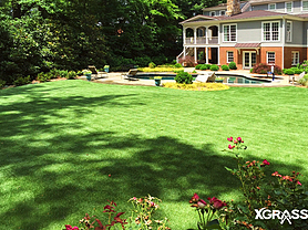 Pool Surrounds