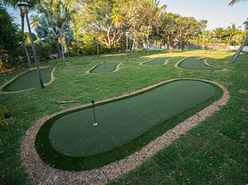 Backyard Putting Course