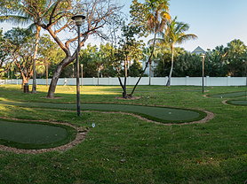 Backyard Putting Course