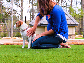 Residential Pet
