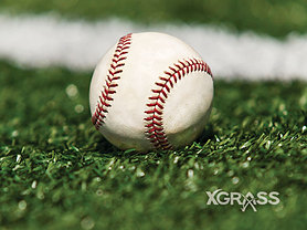 Baseball on grass