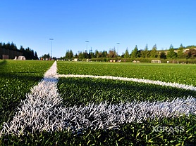 Outdoor Fields