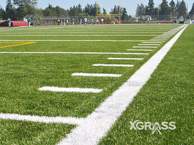 Outdoor Fields