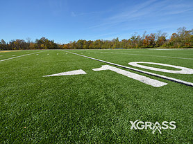 Outdoor Fields