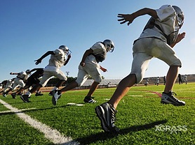 Outdoor Fields
