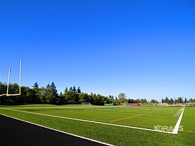 Outdoor Fields