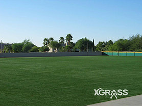 Outdoor Fields
