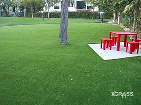 Commercial Landscape