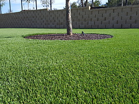 Commercial Landscape