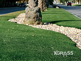 Commercial Landscape