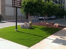 Commercial Landscape