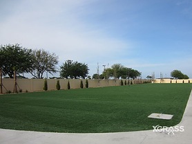 Commercial Landscape