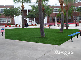 Commercial Landscape