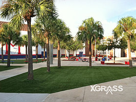 Commercial Landscape