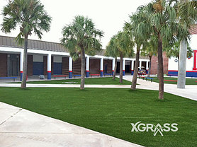 Commercial Landscape