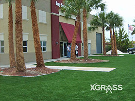 Commercial Landscape