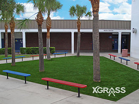 Commercial Landscape