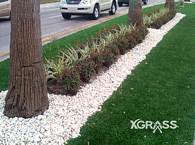 Commercial Landscape