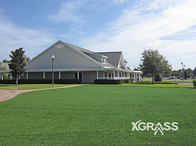 Commercial Landscape