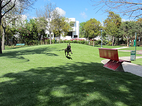 Pet Park