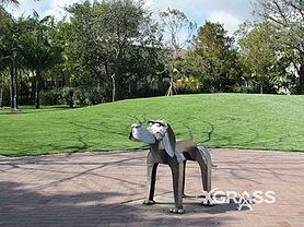 Pet Park