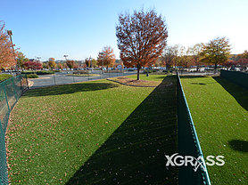 Pet Park