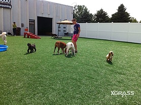 Pet Park