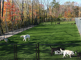 Pet Park