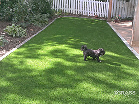 Pet Park