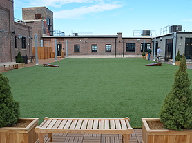 Rooftop