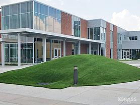 Artificial Grass in front of Office Building