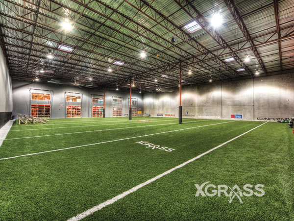 indoor turf fields